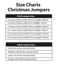 Load image into Gallery viewer, Snow globe Christmas Jumper