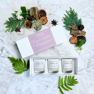 Spicy & Woody Scents gift box